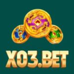 X03 Game login