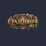 QAIDI804 Game
