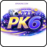 pk6 game login